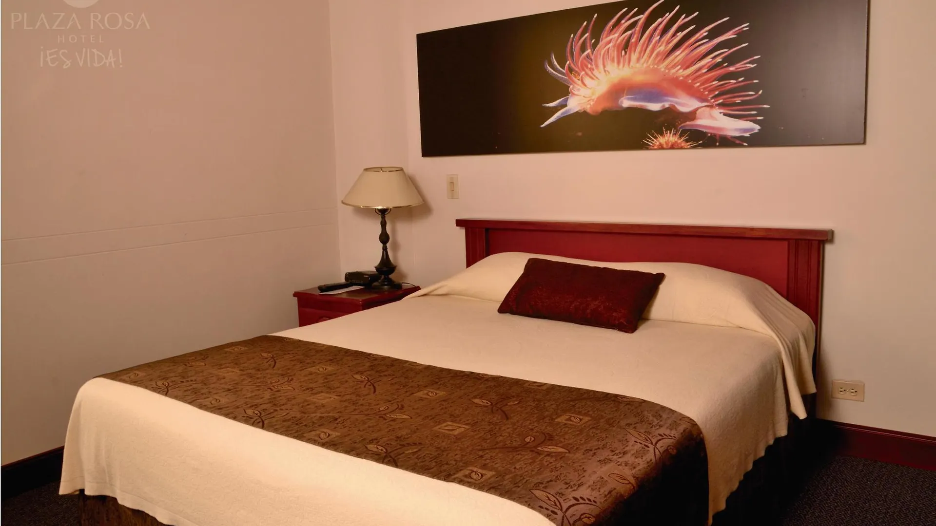 Hotel Plaza Rosa Medellín