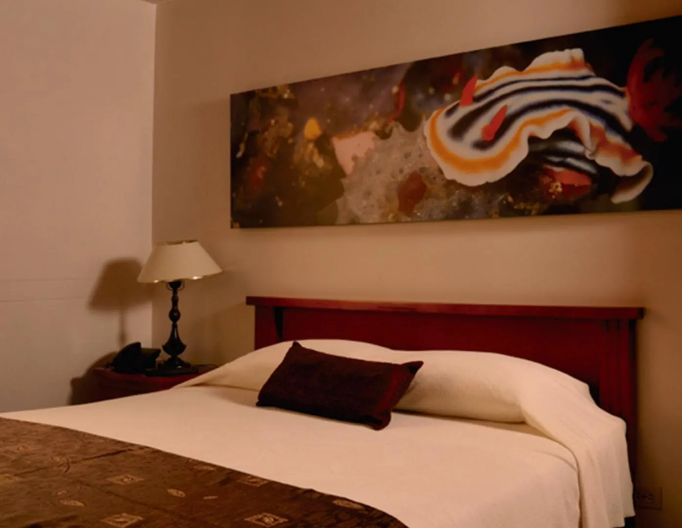 Hotel Plaza Rosa Medellin
